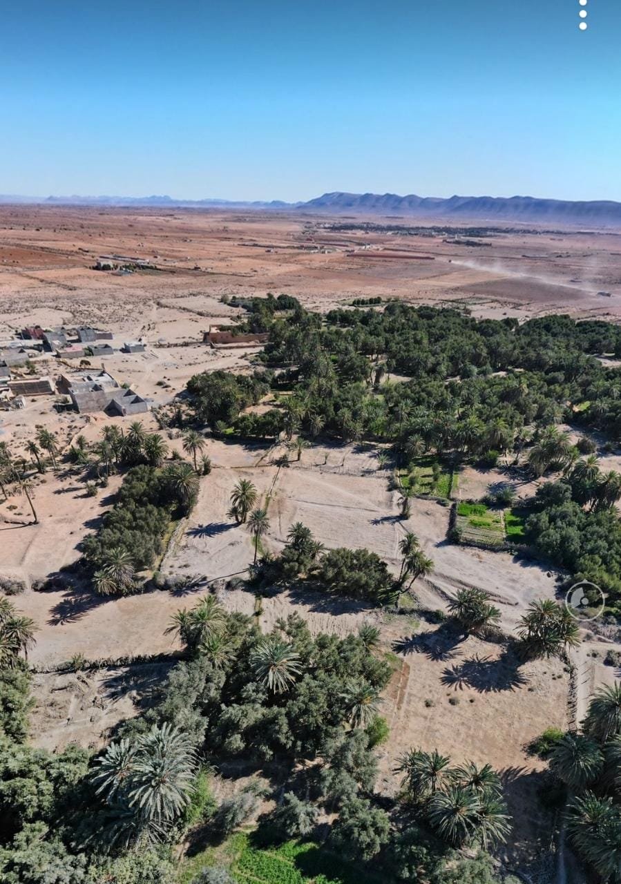 Auberge Azul Ifni 92