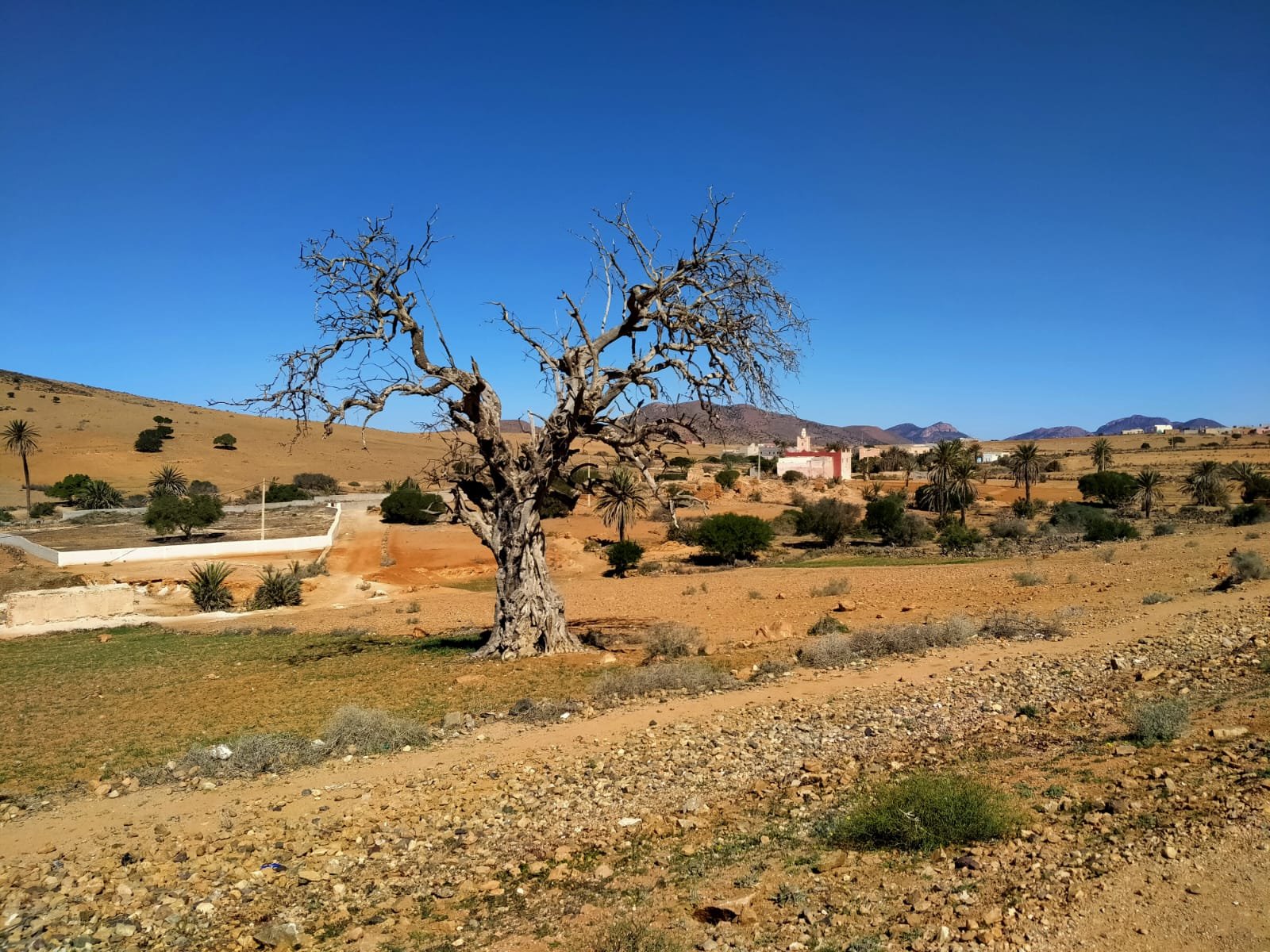 Auberge Azul Ifni 41