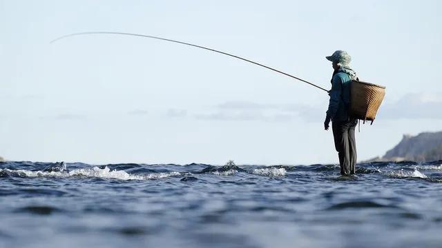 Pêche